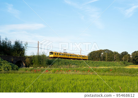 [Hokusei Line] Meganebashi, amaryllis and train 95468612