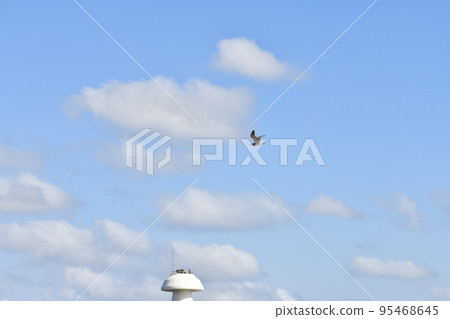 sky blue sky cloud scenery clear airplane 95468645