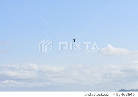 sky blue sky cloud scenery clear airplane 95468646