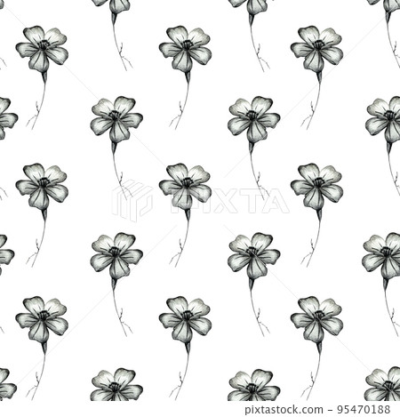 Seamless Pattern with Hand Drawn Marigold Flower. Seamless Pattern with Hand Drawn Marigold Flower. 95470188