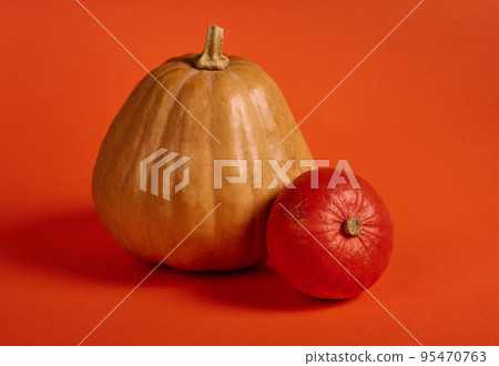 Assortment of various size pumpkins, small and big, isolated over bright orange colored background. Copy ad space for text. Halloween. Thanksgiving. Healthy eating. Autumnal organic harvest. Farming 95470763