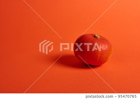 Small bright orange whole organic sweet pumpkin, isolated on color background with copy advertising space. Monochrome still life composition with fresh autumnal harvested crop. Thanksgiving Halloween 95470765