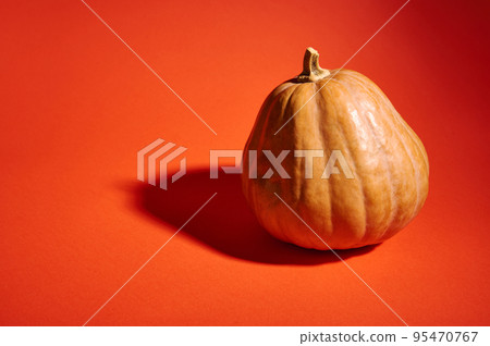 Studio shot of a whole organic ripe pumpkin, isolated on a bright orange background with copy advertising space. Pumpkin for Halloween party or Thanksgiving Day, making Jack-O-Lantern 95470767
