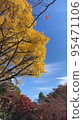 Blue sky and autumn leaves 95471106