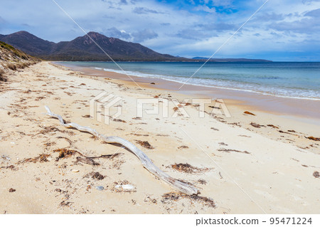 Hazards Beach In Freycinet National Park Tasmania Australia 95471224