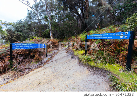 Freycinet Peninsula Circuit in Tasmania Australia 95471328