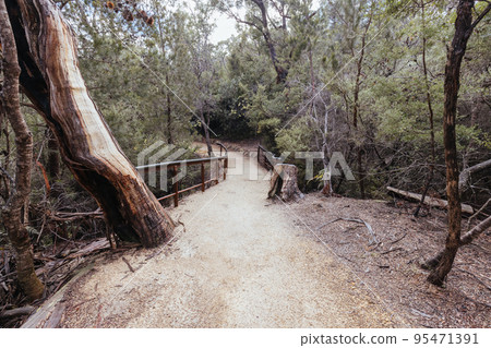 Freycinet Peninsula Circuit in Tasmania Australia 95471391