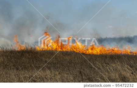 fire in the steppe, the grass is burning destroying everything in its path fire in the steppe, the grass is burning destroying everything in its path 95472232