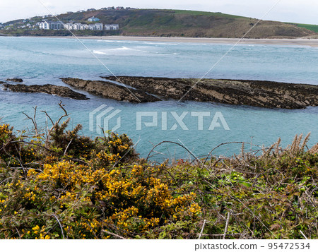 Dense coastal bushes. View of Clonakilty Bay. Sea rocks. A picturesque place in Europe, rock formation near body of water. The nature of Ireland. 95472534