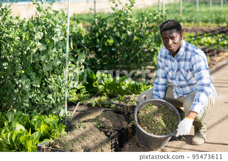 Portrait of an african american farmer with bucket of soil Portrait of an african american farmer with bucket of soil 95473611