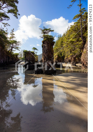 Sandy beach on Pacific Ocean Coast View. Sunny Blue Sky. San Josef Bay, Cape Scott Provincial Park 95474313