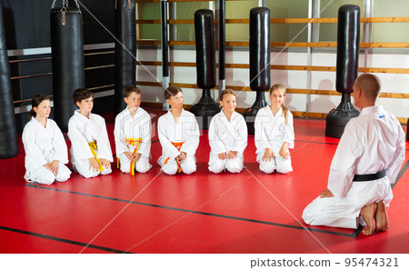 Group of karate kids and trainer in gym Group of karate kids and trainer in gym 95474321