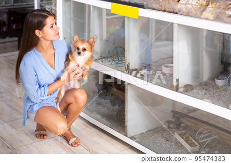 Young woman with small dog looking at hamsters Young woman with small dog looking at hamsters 95474383