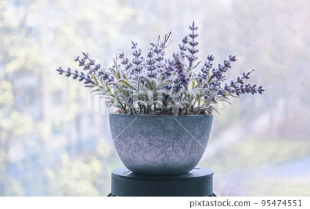 A bouquet of lavender in a beautiful blue pot on a blurred background 95474551