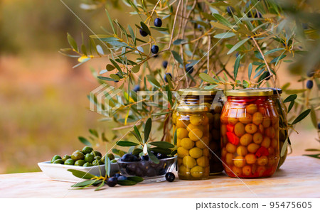 Glass jars with pickled olives under olive tree Glass jars with pickled olives under olive tree 95475605