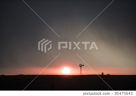 Pampas sunset landscape, La pampa, Argentina 95475643