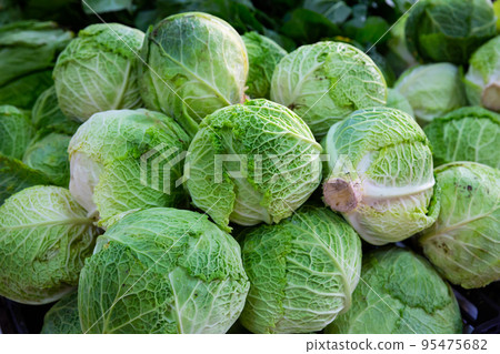 Fresh organic salad and cabbage in greengrocery shop 95475682