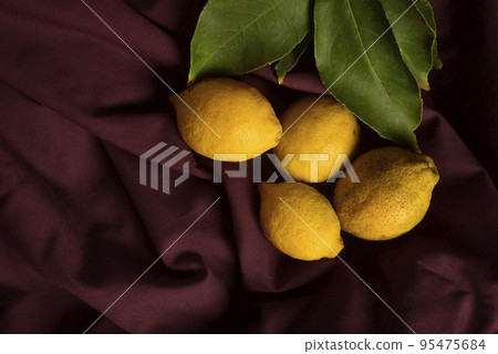 Organic lemons, harvested from the garden, prepared on the table. 95475684