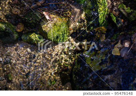 Rocky stream bed with clear water Rocky stream bed with clear water 95476148