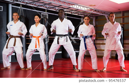 Multiracial group of people doing kata moves in gym 95476537