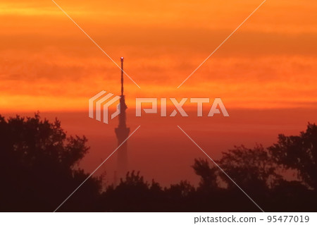 早晨天空樹 早晨天空樹 95477019