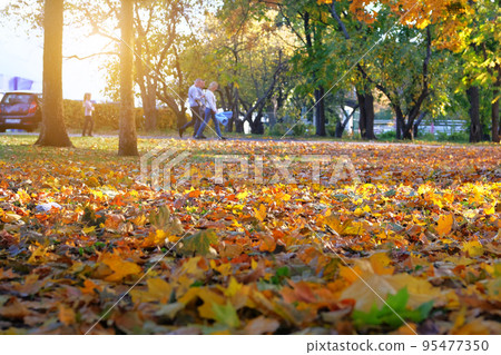 Autumn city park alley. People walk through the park on warm sunny autumn day. Yellow fall leaves. Sunny. Autumn city park alley. People walk through the park on warm sunny autumn day. Yellow fall leaves. Sunny. 95477350