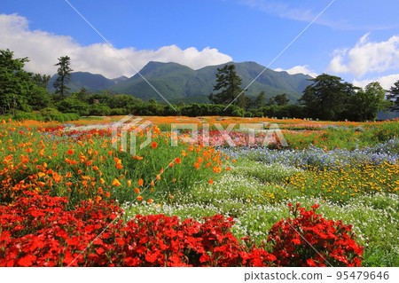 Kuju mountain range and spring field 95479646