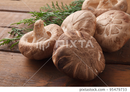 原始的嫁妝 95479733