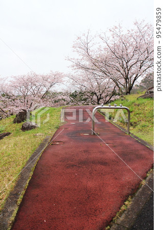 Sports park road scenery Sports park road scenery 95479859