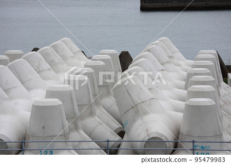 Tetrapod Tetrapod 95479983