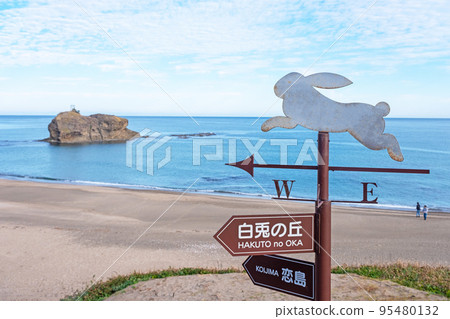 White rabbit coast 95480132