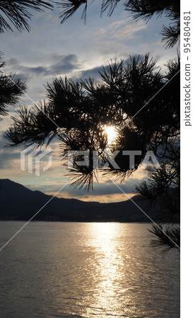 The silhouette of the Seto Inland Sea and pine trees dyed in the setting sun 95480481