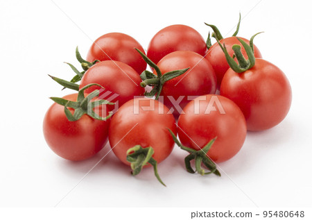 Mini Tomato Mini Tomato 95480648