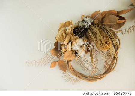 Dried flower  95480773