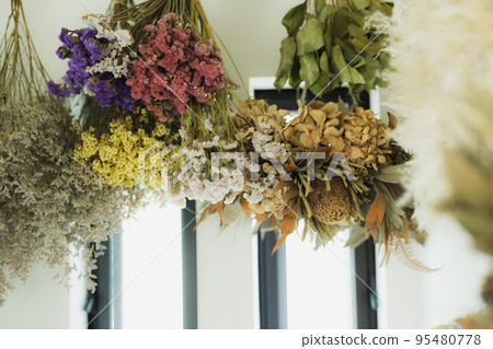 Dried flower  95480778