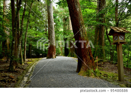Takihara Shrine Approach [Takihara, Taiki Town, Watarai County, Mie Prefecture] 95480886