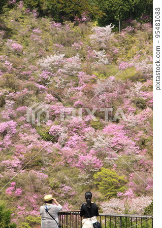 Admire the spectacular view of spring 95481088