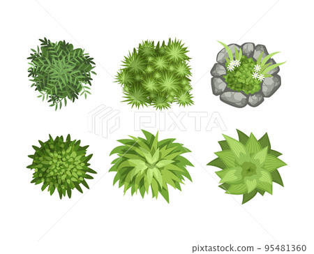 Bush Growth as Landscape Elements Above View Vector Set 95481360