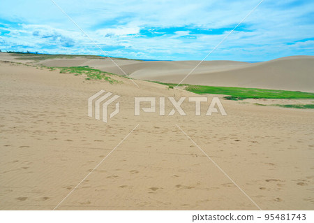 [San'in Kaigan National Park] Tottori Sand Dunes Umanose and partly grassy sand dunes 1 Tottori City, Tottori Prefecture 95481743