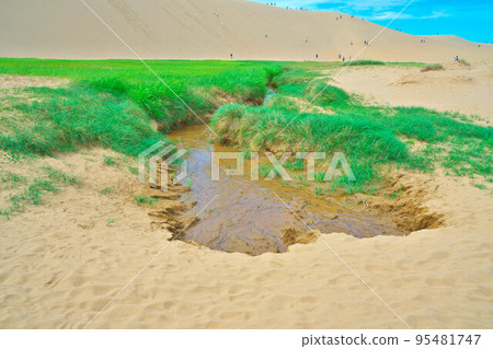 [San'in Kaigan National Park] Tottori Sand Dunes, a place with spring water and grasslands, and Umanose, Tottori City, Tottori Prefecture 95481747
