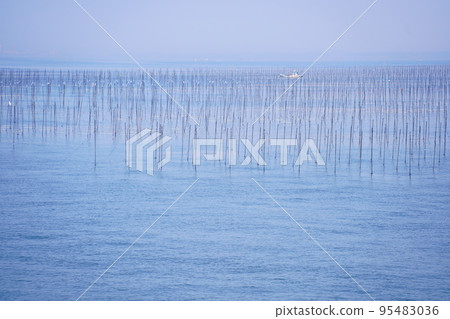 Seaweed farming in the Ariake Sea (Kumamoto Prefecture) Seaweed farming in the Ariake Sea (Kumamoto Prefecture) 95483036