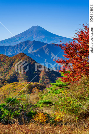 秋天的顏色和紅葉的富士山 秋天的顏色和紅葉的富士山 95483698