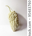white jade balsam pear on white background 95483760