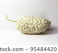 white jade balsam pear is laying on whithe background 95484420
