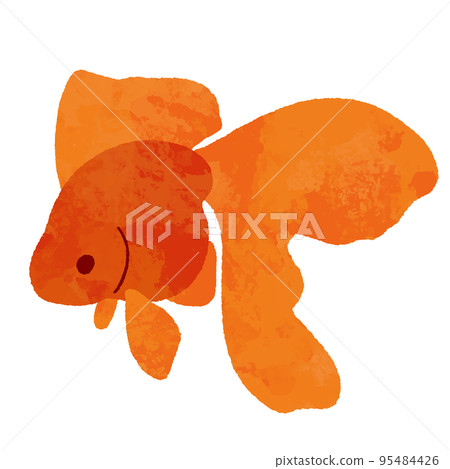 Red goldfish seen from the side in a watercolor style Red goldfish seen from the side in a watercolor style 95484426