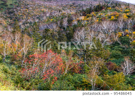 [Hokkaido Shiretoko] Autumn of Shiretoko Pass October 95486045