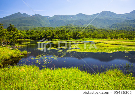 [北海道/知床]知床五月的夏天 95486305