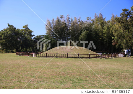 平原歷史公園波斯菊柿子仙丹 平原歷史公園波斯菊柿子仙丹 95486517