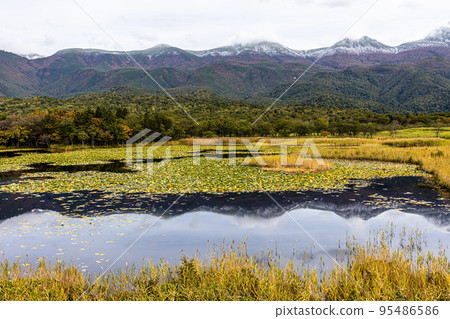 [Hokkaido/Shiretoko] Autumn of Shiretoko Goko October 95486586
