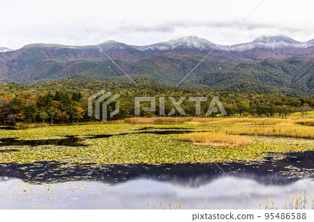 [Hokkaido/Shiretoko] Autumn of Shiretoko Goko October 95486588